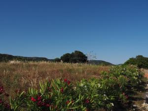 Stazzu Giasti Agriturismo img71