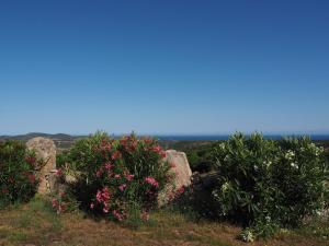 Stazzu Giasti Agriturismo img73