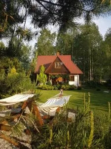 Siedlisko Gruszki Puszcza Białowieska - Planta