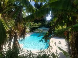 Le Domaine de Saint-Thomin photo 6