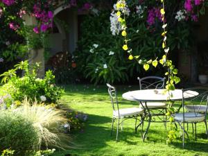 Hotel Mariposas img34