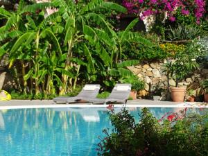 Hotel Mariposas img38