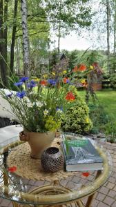 Siedlisko Gruszki Puszcza Białowieska