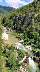 B&B / Chambres d'hotes Les GARGOUILLES Gorges du Tarn - Millau : photos des chambres