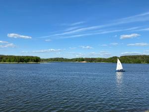 Family & Business Sauna Tężnia Apartments No 5 Leśny nad Zalewem Cedzyna, Unikat - 4 Bedroom with Private Sauna, Bath with Hydromassage, Spectacular View Terrace, Garage, Catering Options