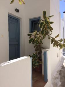 Alkionis House Astypalaia Greece