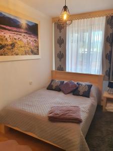 Apartament Regionalny Centrum