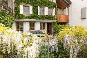 Wonderlandscape Guest House - Commugny