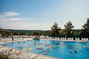 Belvedere Resort Hotels 