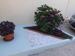 Casa Vacanze Arba Girasole img24
