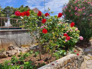 Apartments Vesna Avsec - Krk Town