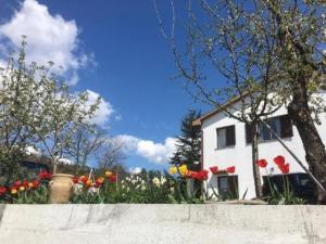 HOSTEL-SezanaLOKEV B&B