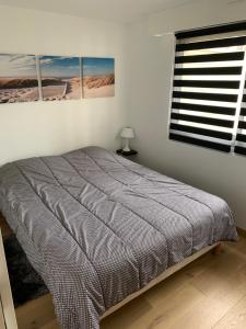 Appartements Splendide appartement proche de tous commodites : photos des chambres