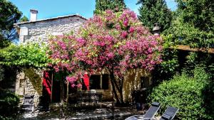 Maisons de vacances Le mazet du mas : photos des chambres