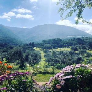 Agriturismo Is Conchisceddas img81