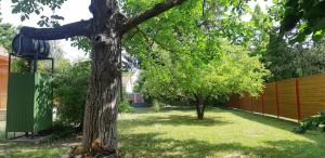 Holiday Home room in Damjanich Home close to the lake