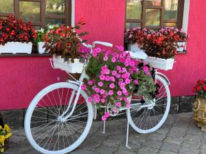 Готель-ресторан Каміла - Ubytování bez kategorie ve městě Poljana