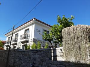 Cielo limon alacatı