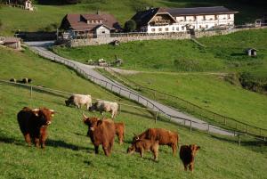 Ferienwohnung Hochsteinalm