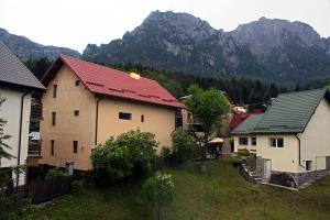 Apartament Mountain Life