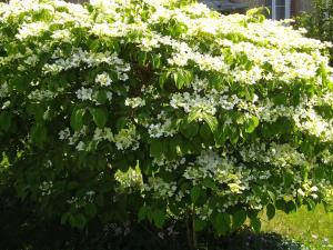 B&B / Chambres d'hotes serenite normande : photos des chambres