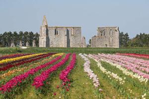 B&B / Chambres d'hotes La Passerose jardin clos 300mplage la Couarde sur mer : photos des chambres