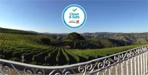 Quinta dos Espinheiros - 瓦莱德门蒂兹