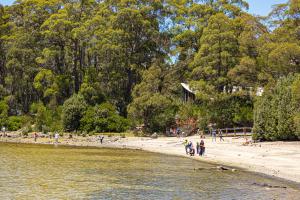 Lake St Clair Lodge