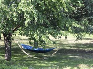 B&B / Chambres d'hotes Le Boisdalon : photos des chambres