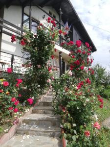 Casuta cu Trandafiri