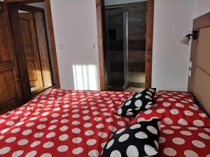 Privát Bachleda Ždiar