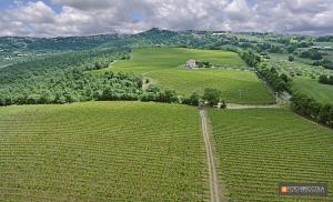 Agriturismo Vigna Sul Lago