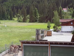 Biobauernhof Vilshof