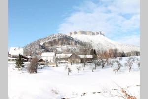 Appartements Gite Le Wallis : photos des chambres