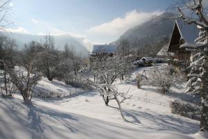 Appartements Gite Le Wallis : photos des chambres