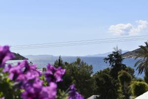 Angeliki Pension Amorgos Greece