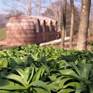 Les Cocons dArdenne - Hébergement insolite