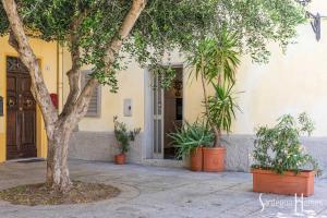 Sardegna Homes Il Glicine img17