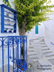Next to the Bougainvillea! Syros Greece