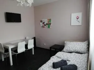 Apartmán Lednická - Charvátská Nová Ves