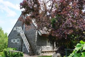 Tihany Apartment Lake View