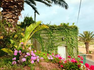 Porto Santo Balcony View House