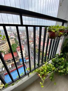 SHP Plaza Khanh Phong Homestay