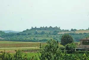 S.M. L'ARCO - Strove