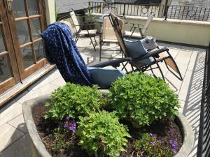 Scarborough House - Adults only holiday home