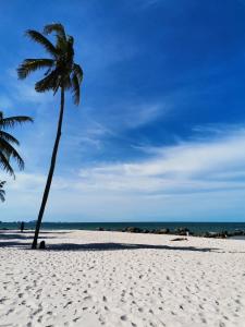 Hinnam Saisuay by One