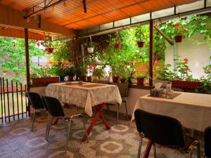 Casa Mary