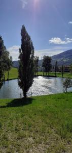 Appartamenti Cenni - Relais su Lago
