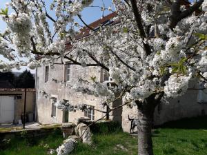 B&B / Chambres d'hotes LE RELAIS : photos des chambres