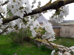 B&B / Chambres d'hotes LE RELAIS : photos des chambres